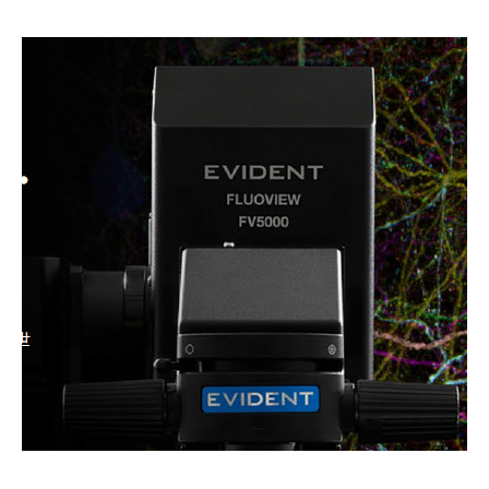 スクリーンショット 2026-03-25 155459.png