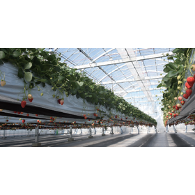 Cultivation System "Gaia Strawberry K Hanging MS"