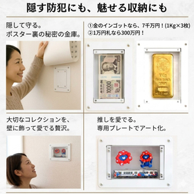 ステルスバンク「壁中収納ボックス」