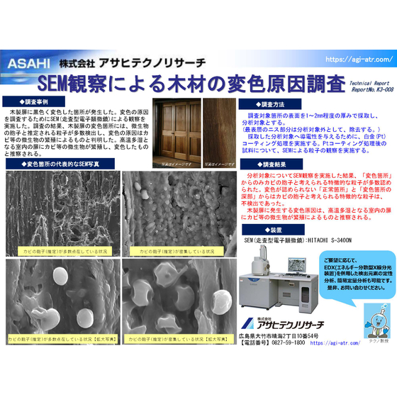 【テクニカルレポート】SEM観察による木材の変色原因調査.jpg
