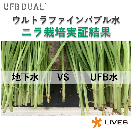 2点目?.png