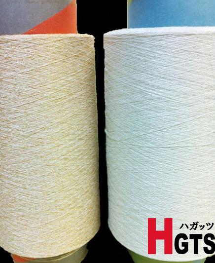 製品紹介　HGTS　ハガッツ