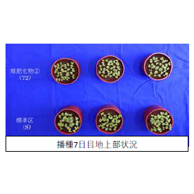 Plant damage/seedling test
