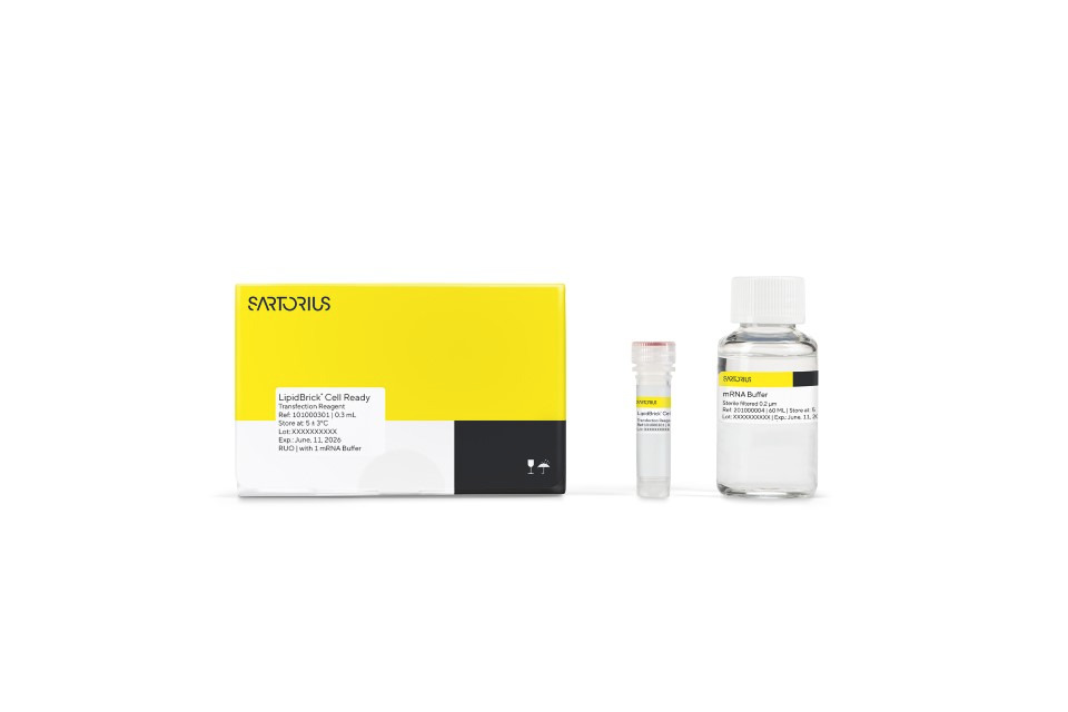 LipidBrick Cell Ready