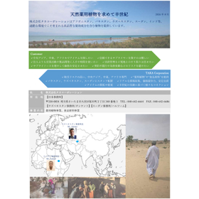 Company profile