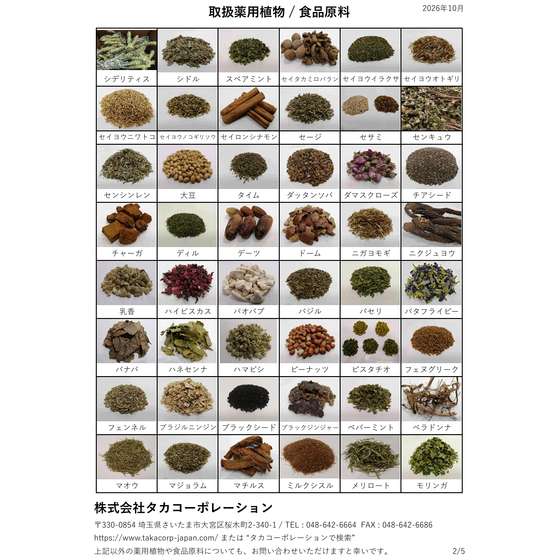 2.jpeg