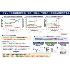 抗体医薬品の熱変性評価サービス（ラマン分光法・二次構造解析）