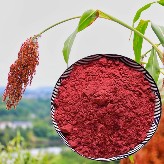 Sorghum Red.jpg