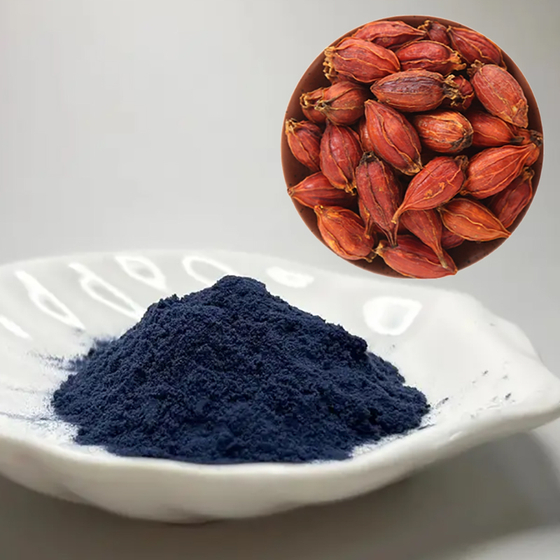 Gardenia Blue Color.jpg