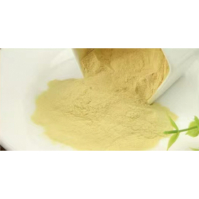 微粉砕（破砕）ビーポーレン（蜂花粉）高破砕率95％以上 原料用粉