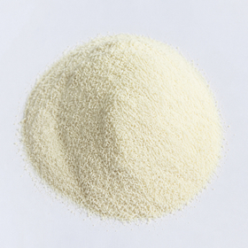 アマニ油マイクロカプセル粉末 CWD Omega-3 ALA