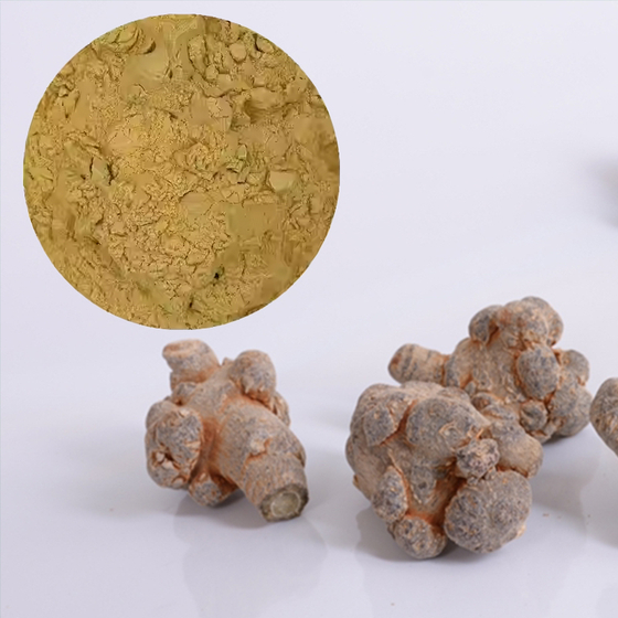 Panax Notoginseng Root Extract.jpg