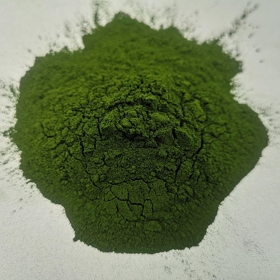 Chlorella pyrenoidosa powder.jpg