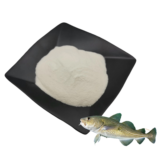 Marine fish oligopeptide powder.jpg