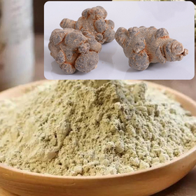 中国産田七人参粉末 ピュアパウダー 高純度サポニン含有