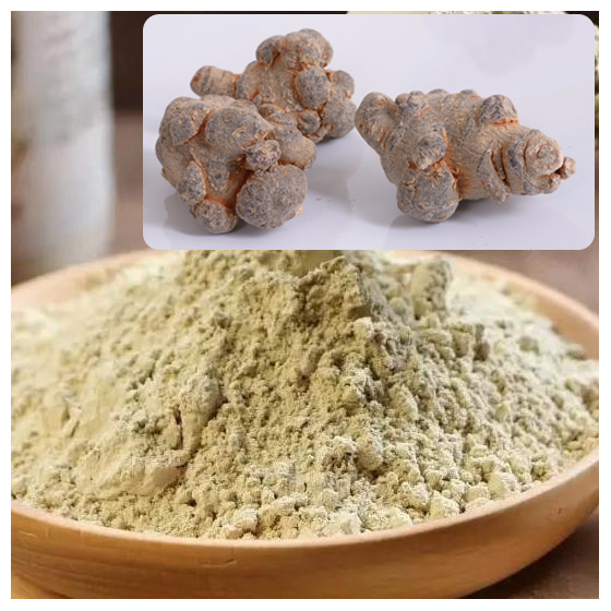 Panax Notoginseng Pure Powder.jpg