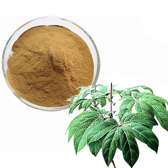 Panax Notoginseng Leaf & Stem Extract.jpg