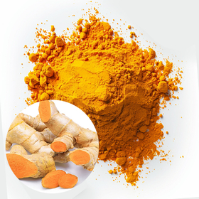 Natural colorant derived from turmeric (curcumin powder / food natural coloring agent)