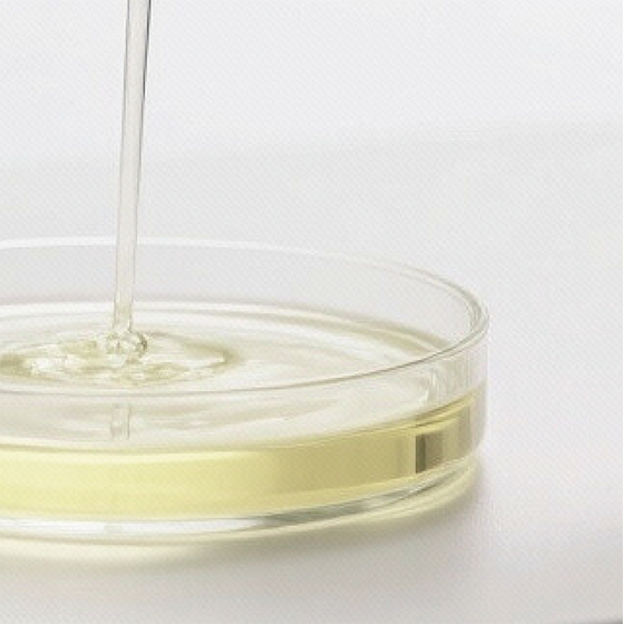 Premium DHA Algal Oil.jpg