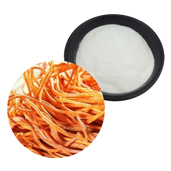 Cordyceps militaris peptide.jpg