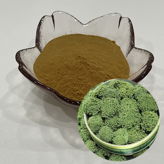 Panax Notoginseng Flower Extract.jpg