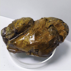 原料プロポリス Raw propolis 高フラボノイド含有 蜂