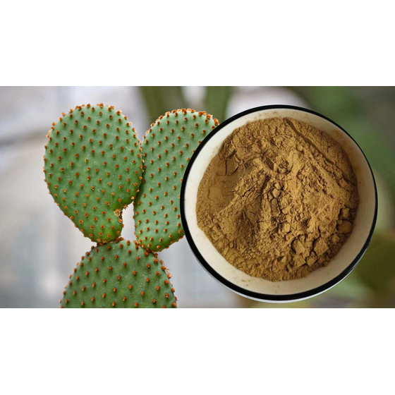 Cactus extract.jpg