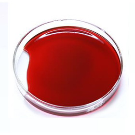 南極オキアミオイル（ Antarctic Krill Oil）