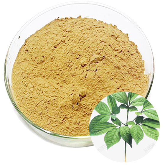 Panax Ginseng Leaf & Stem Extract.jpg