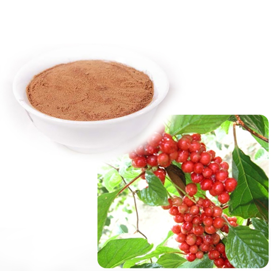 Schisandrol A Extract.jpg