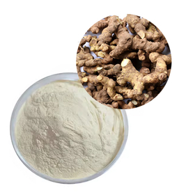 高純度オウセイペプチド補気養陰・免疫機能サポート素材