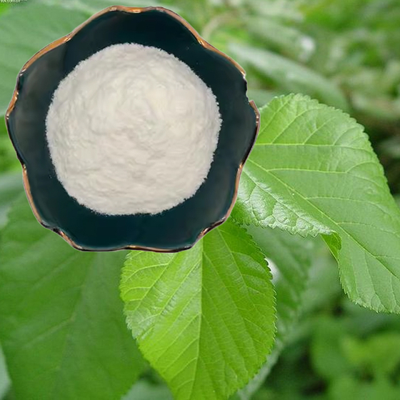 Mulberry leaf polypeptide.jpg
