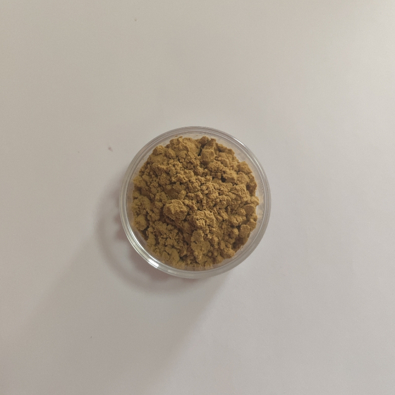 槐米酶解粉.jpg