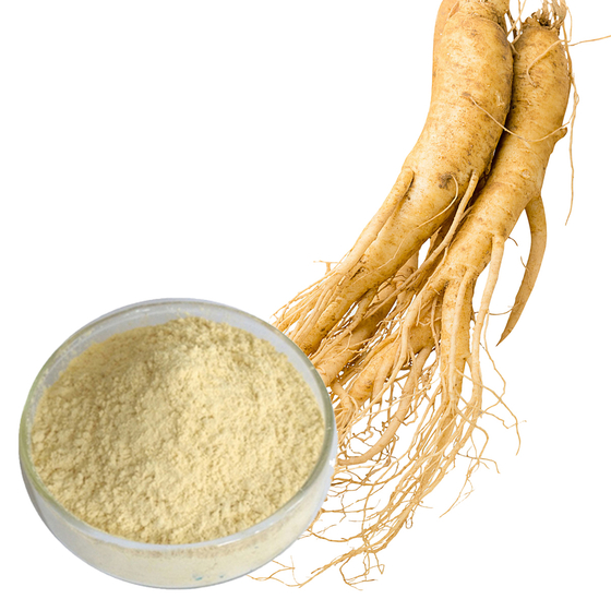 American Ginseng Root Extract.jpg