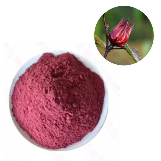 Hibiscus Red Color.jpg