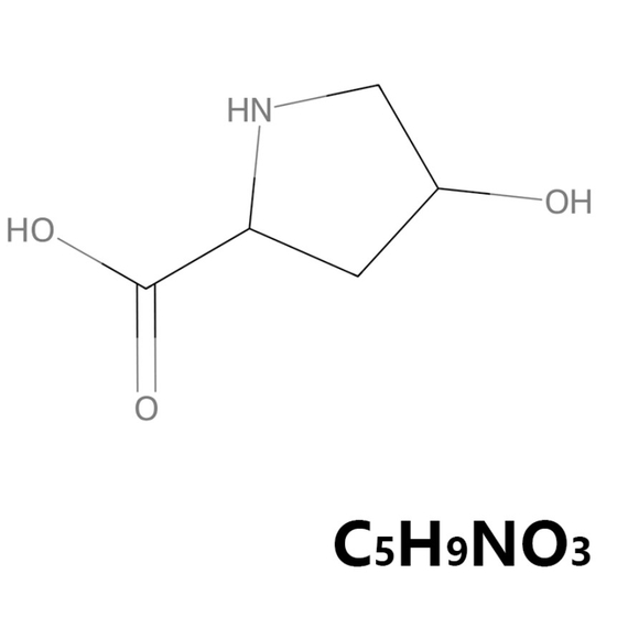 Hydroxyproline.jpg