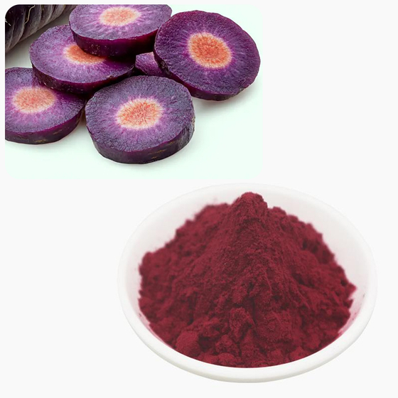 Purple Carrot Color.jpg