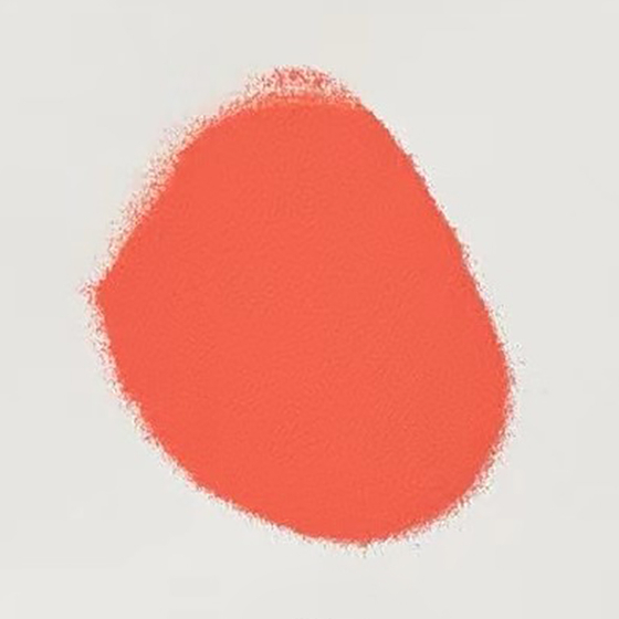 cws-methylcobalamin-vitamin-b12-powder.jpg