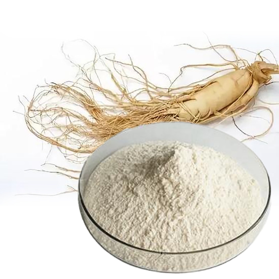 Ginsenosides Extract.jpg