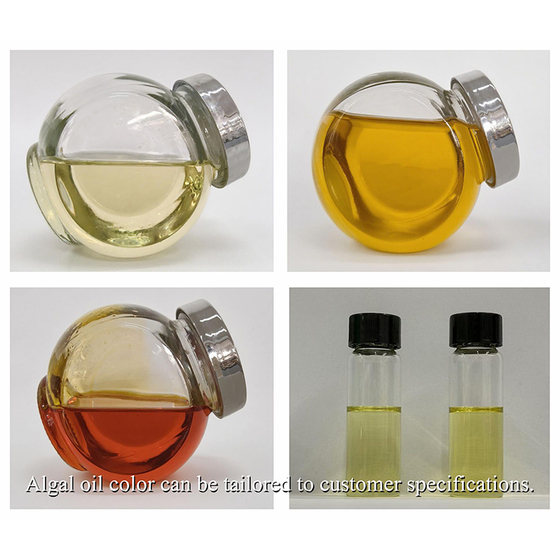 Winterized DHA Algal Oil.jpg