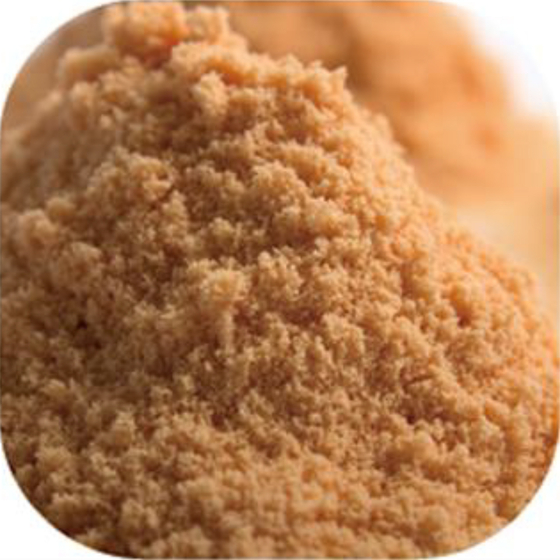 Antarctic Krill Oil Microencapsulated Powder.jpg