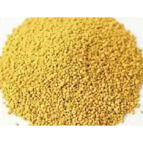 菜種蜂花粉（単一花粉90％以上）食品・原料用ビーポーレン花粉