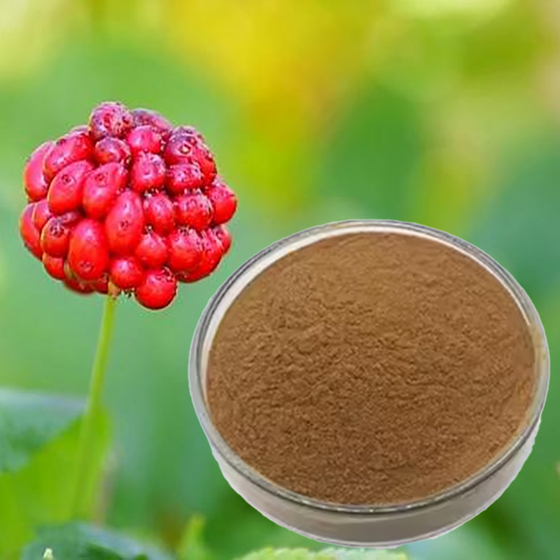 American Ginseng Berry Extract.jpg