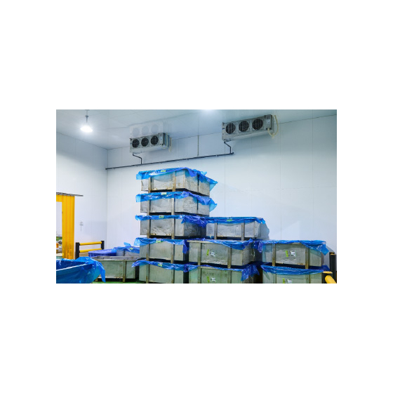 西海食品株式会社 様1.jpg