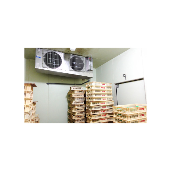 サガエ納豆食品 様1.jpg