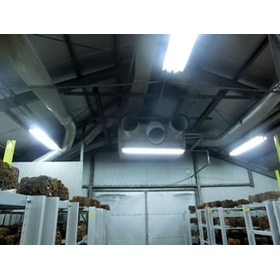 [Case Study of Medium and Low Tempe...