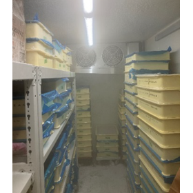 【冷凍ZEAS納入事例】有限会社五感様