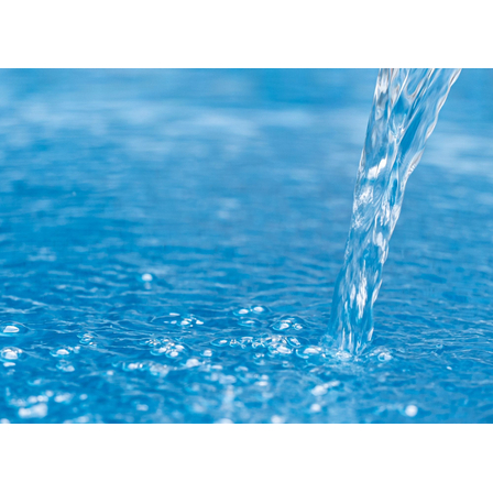 main.jpg