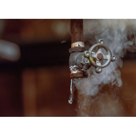 art7_1.jpg
