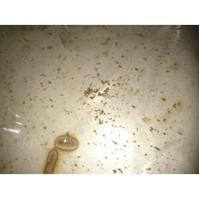 【給水タンクの内部洗浄】鉄によるトラブルを防ぐ 化学メーカー